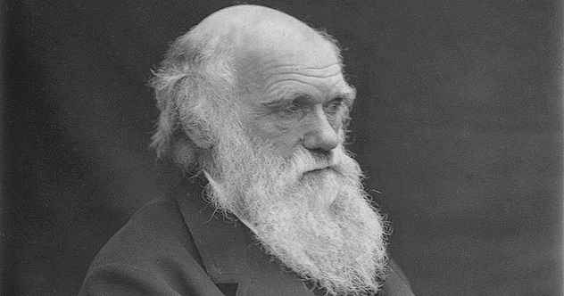 10 seltsame und interessante Fakten über Charles Darwin