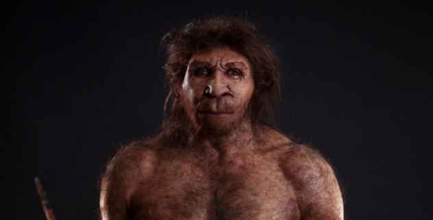 10 Übergangsvorfahren der menschlichen Evolution