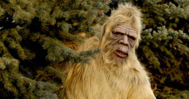 10 absolut bizarre Bigfoot -Theorien