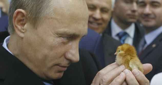 10 Unglaubliche Geschichten über Vladimir Putin
