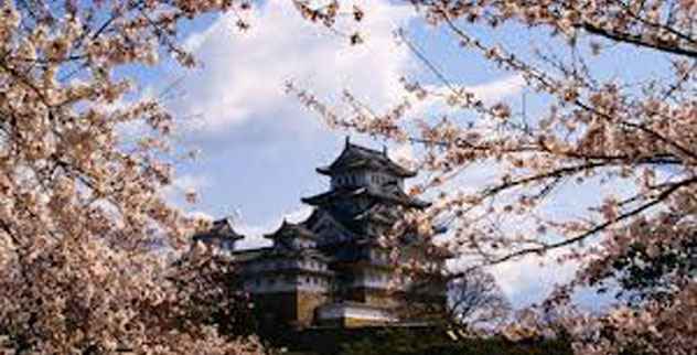 20 interessante Fakten über Japan