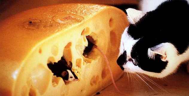 Top 10 hechos fascinantes sobre queso